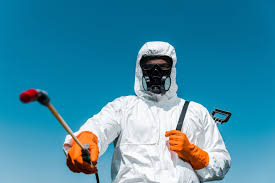 Best Termite Inspection and Treatment  in Algoma, WI